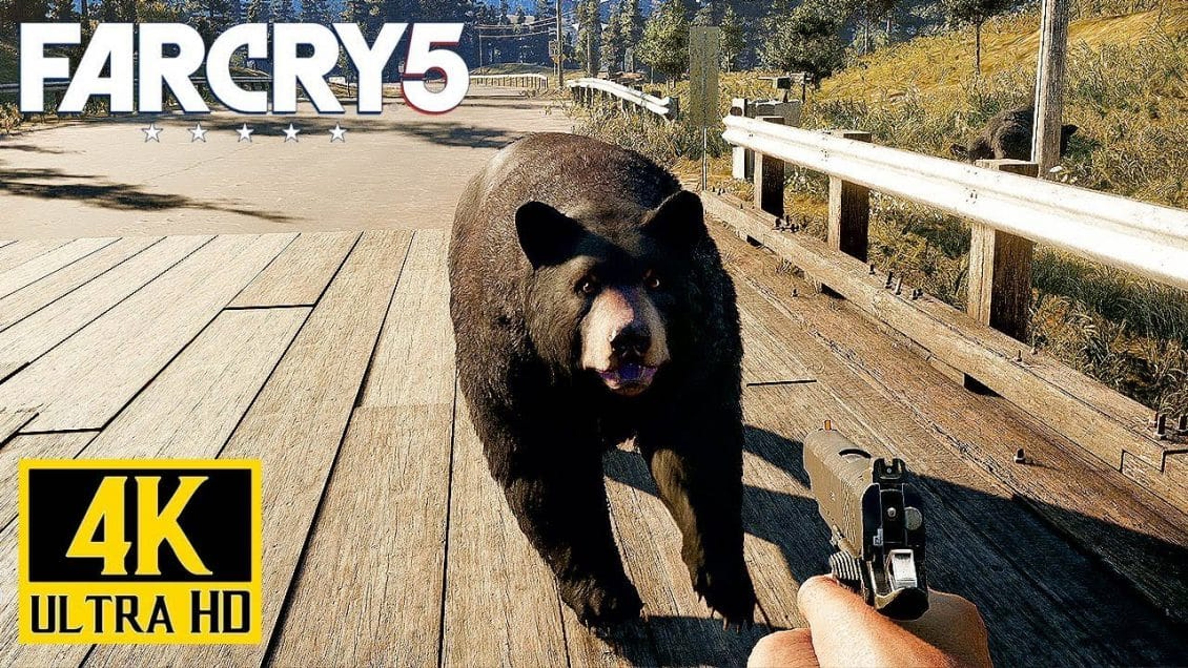 Far Cry 5 Sfoggia la sua bellezza grazie al 4K