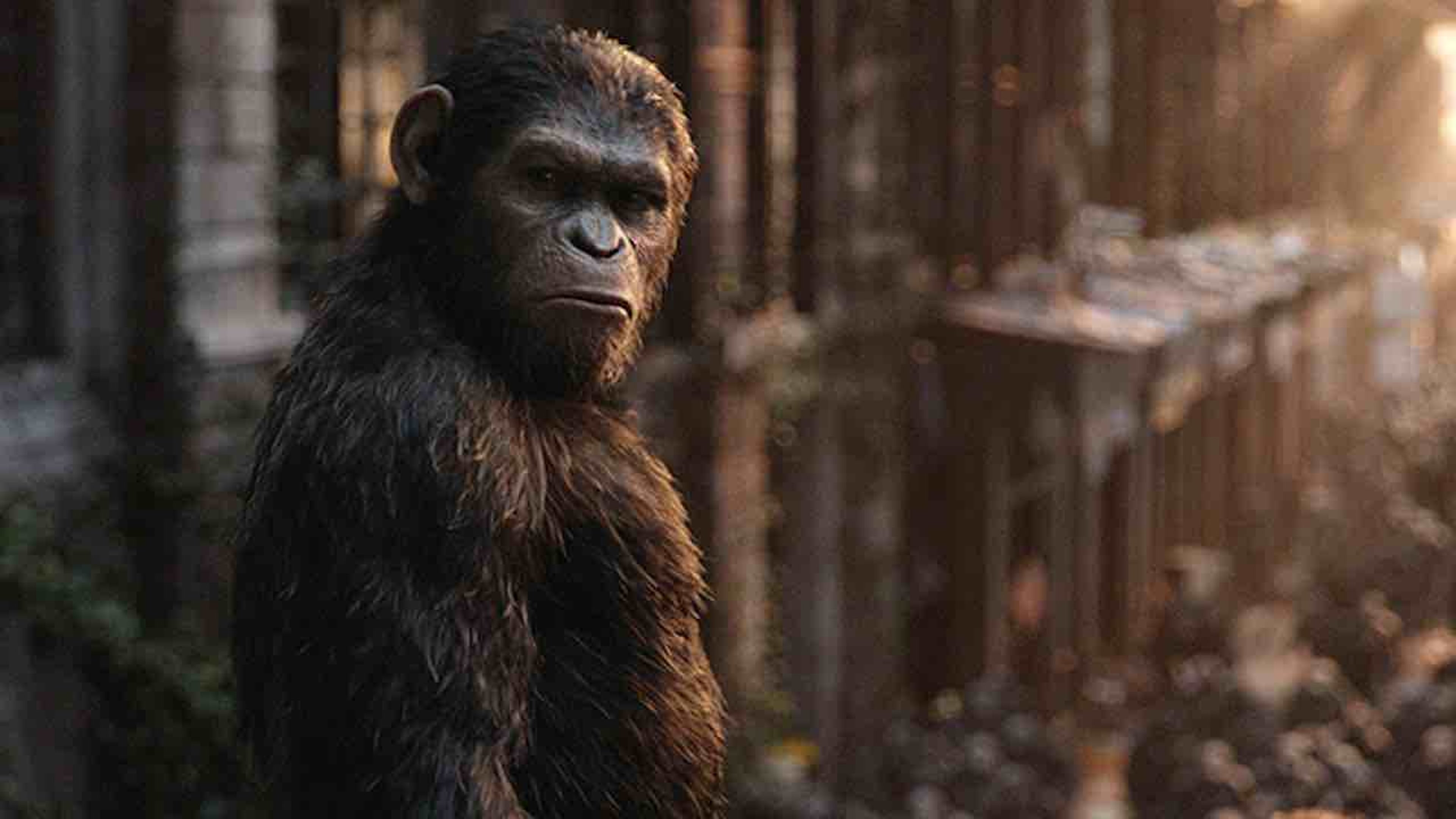 Il Pianeta delle Scimmie in streaming: dove vedere i film della saga