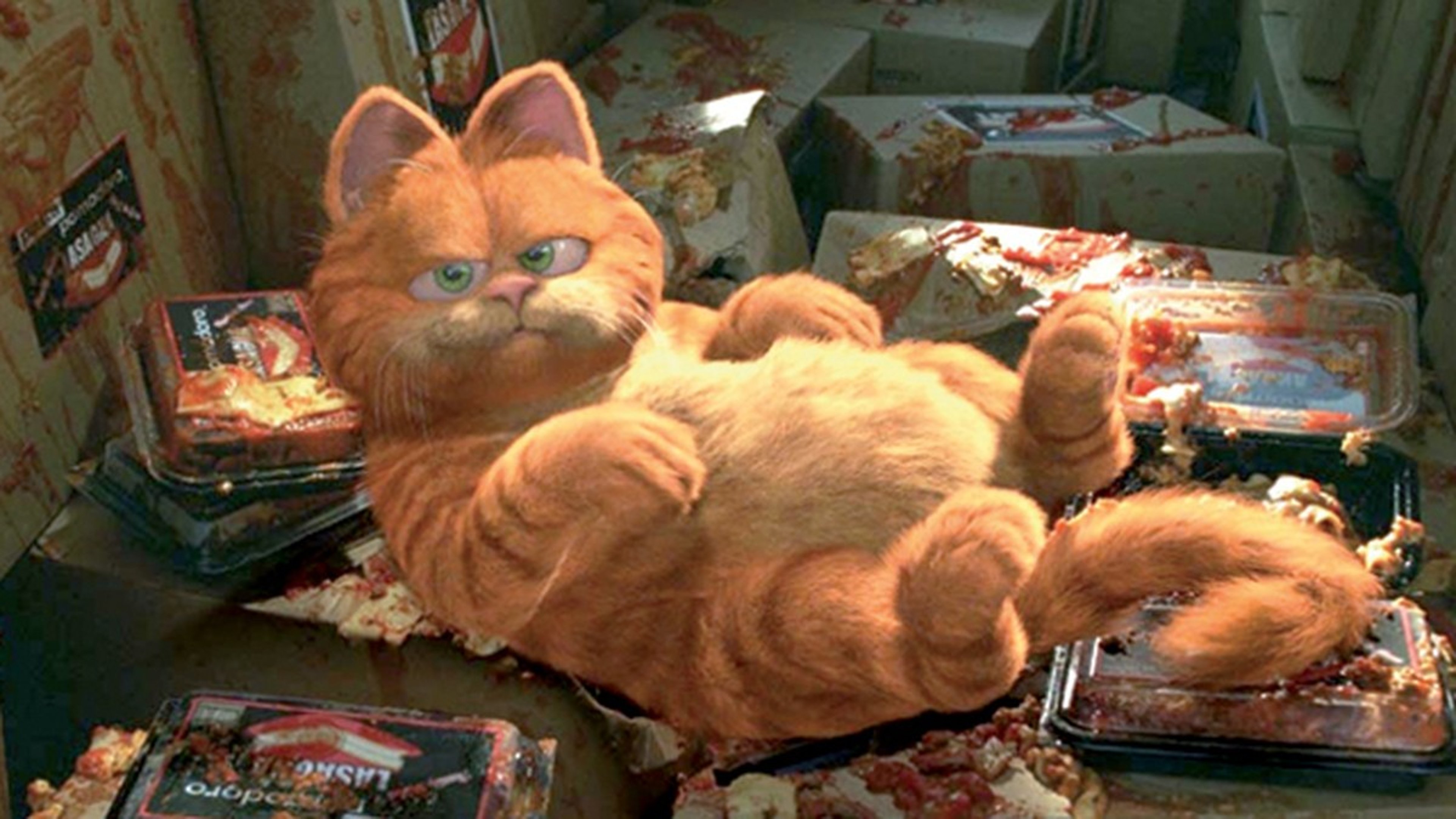 Garfield e l’errore di Bill Murray: ecco perché l’attore doppiò il film (per sbaglio) Copertina